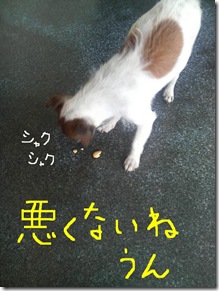 今日カズ080725　7
