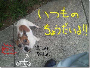 今日カズ080726　2