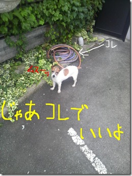 今日カズ080726　3