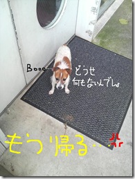 今日カズ080726　5