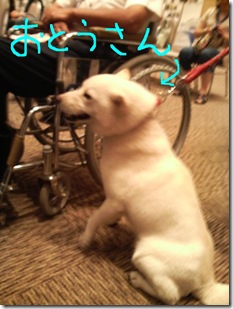 おとうさん