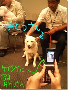 おとうさんと携帯おとうさん
