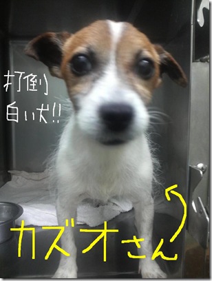 カズオさん