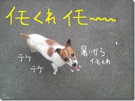 今日カズ080728　1