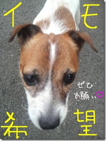 今日カズ080728　2