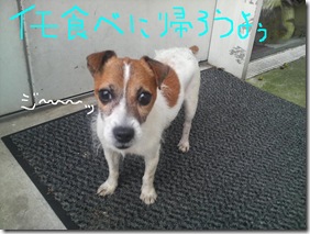 今日カズ080728　3