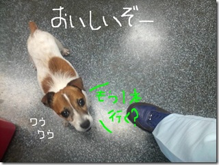 今日カズ080728　4