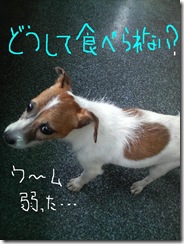 今日カズ080729　5