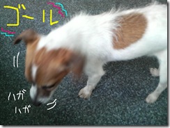 今日カズ080729　6