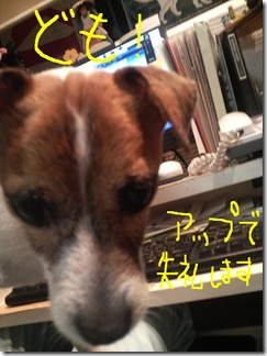 今日カズ080729　8
