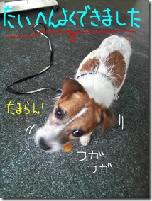 今日カズ080730　3