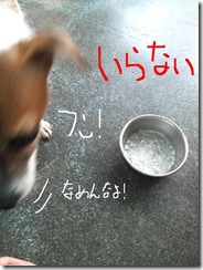 今日カズ080730　5