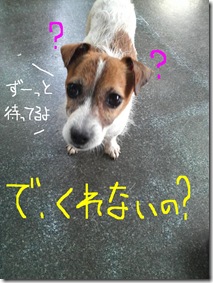 今日カズ080730　6