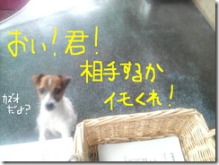 今日カズ080801　2
