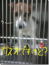 今日カズ080801　3