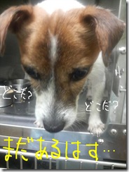 今日カズ080801　5