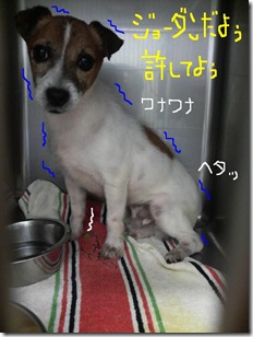 今日カズ080802　2