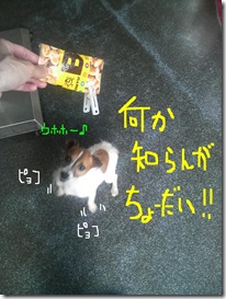 今日カズ080802　3