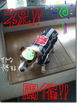 カズオ祭り　1