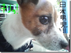 カズオ祭り　3