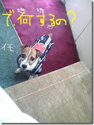 カズオ祭り　4
