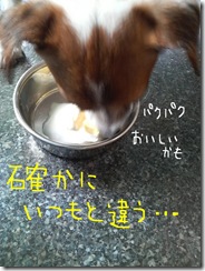 カズオ祭り　5
