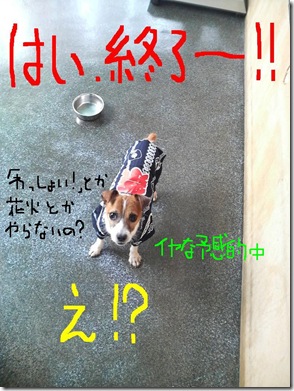 カズオ祭り　7