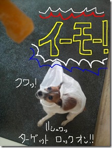 今日カズ080805　1