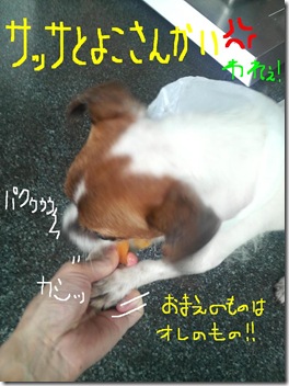 今日カズ080805　2