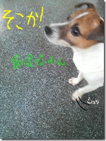 今日カズ080805　4