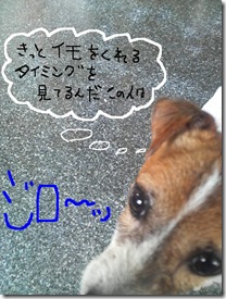 今日カズ080805　5