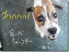 今日カズ080806　1
