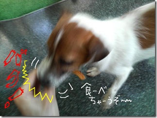 今日カズ080806　2