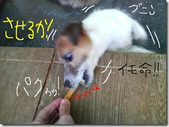 今日カズ080806　4