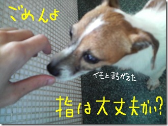 今日カズ080806　5