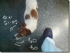 今日カズ080813　1