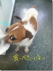 今日カズ080813　3