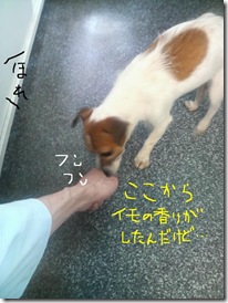 今日カズ080813　4