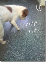 今日カズ080813　5
