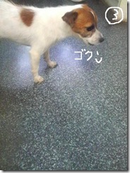 今日カズ080813　7
