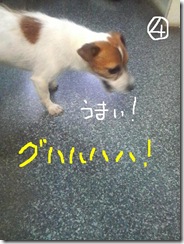今日カズ080813　8