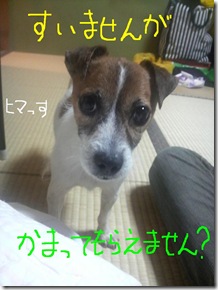 今日カズ080816　1