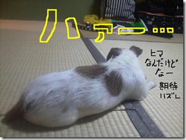 今日カズ080816　3