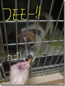 今日カズ080816　4