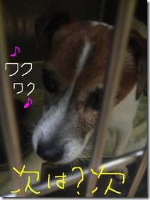 今日カズ080816　5