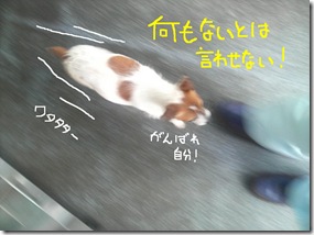 今日カズ080818　2