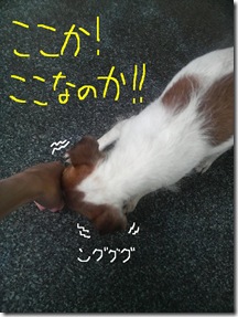 今日カズ080818　4