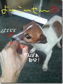 今日カズ080818　5