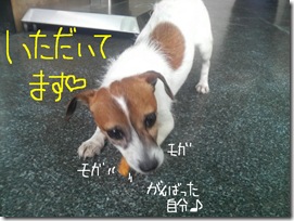 今日カズ080818　6
