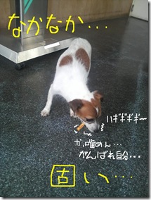 今日カズ080818　7